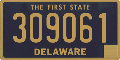 DE license plate 309061