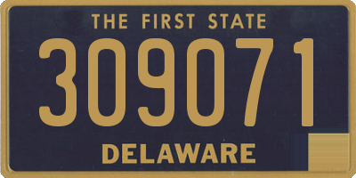 DE license plate 309071