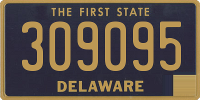 DE license plate 309095