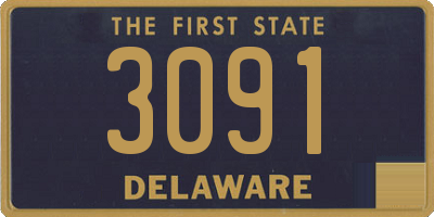 DE license plate 3091