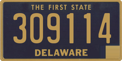 DE license plate 309114