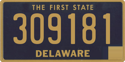 DE license plate 309181