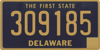 DE license plate 309185