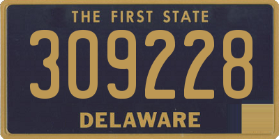 DE license plate 309228