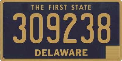 DE license plate 309238