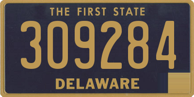 DE license plate 309284