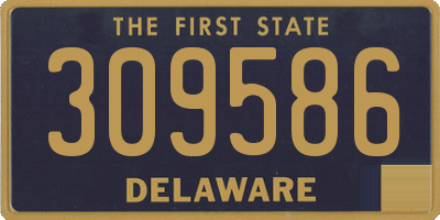 DE license plate 309586