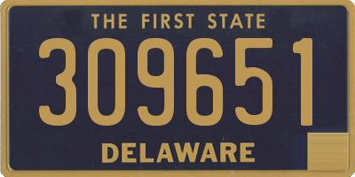 DE license plate 309651
