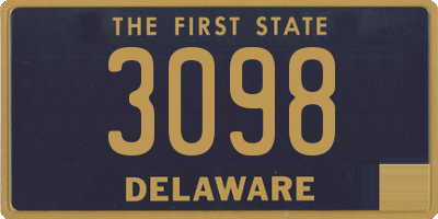 DE license plate 3098