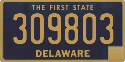 DE license plate 309803