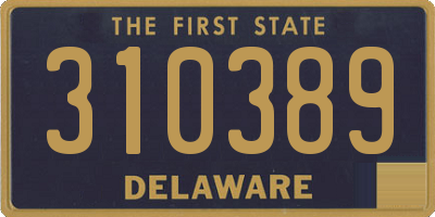 DE license plate 310389