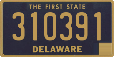 DE license plate 310391
