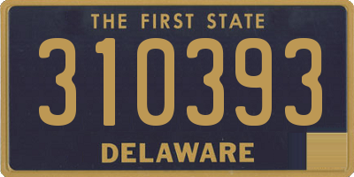 DE license plate 310393