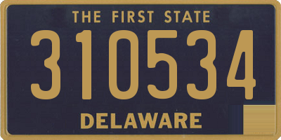 DE license plate 310534