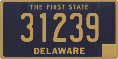 DE license plate 31239