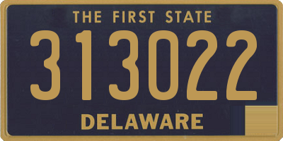 DE license plate 313022