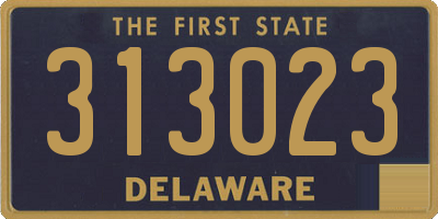 DE license plate 313023