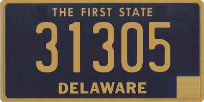 DE license plate 31305