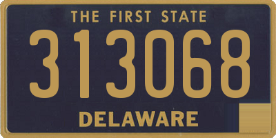 DE license plate 313068