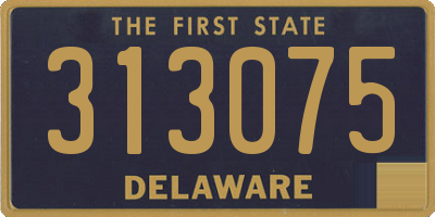 DE license plate 313075