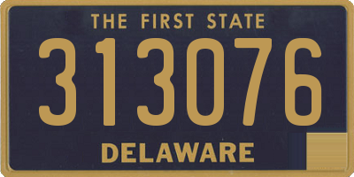 DE license plate 313076