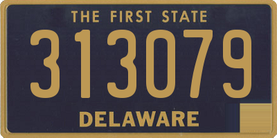 DE license plate 313079