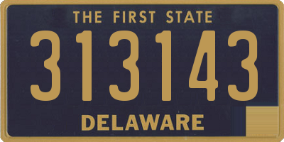 DE license plate 313143