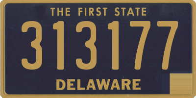 DE license plate 313177