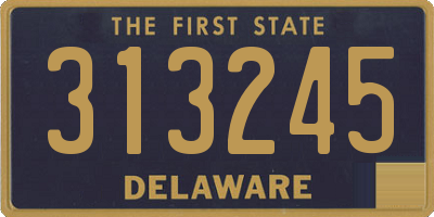 DE license plate 313245