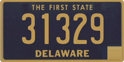 DE license plate 31329