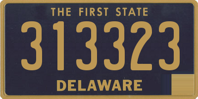 DE license plate 313323