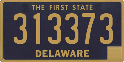 DE license plate 313373