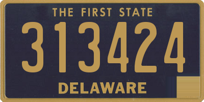 DE license plate 313424