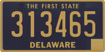DE license plate 313465