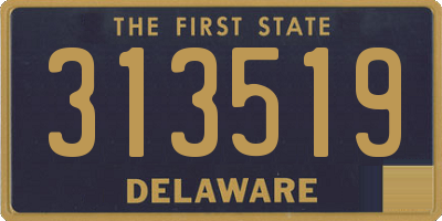 DE license plate 313519