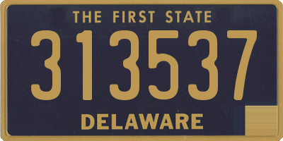 DE license plate 313537