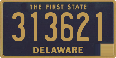 DE license plate 313621