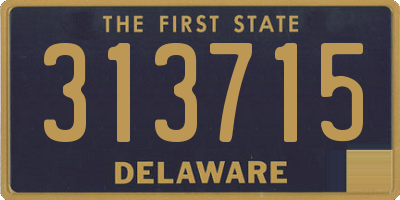 DE license plate 313715