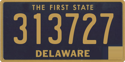 DE license plate 313727