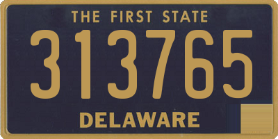 DE license plate 313765