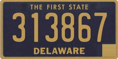 DE license plate 313867