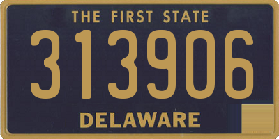DE license plate 313906