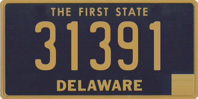 DE license plate 31391