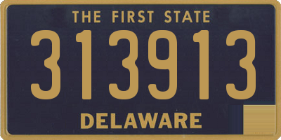 DE license plate 313913