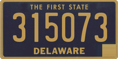 DE license plate 315073