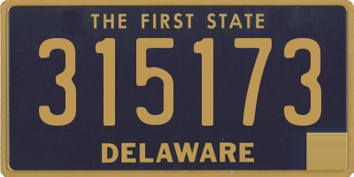 DE license plate 315173
