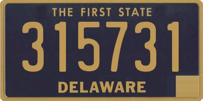 DE license plate 315731