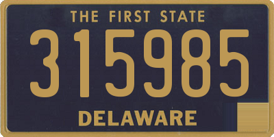 DE license plate 315985