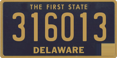 DE license plate 316013