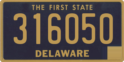 DE license plate 316050
